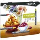 CRAYONES LYRA AQUARELL 46456 ESTUCHE CON 24