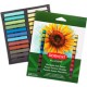 PASTEL DERWENT ACADEMY SECO PAQUETE CON 24