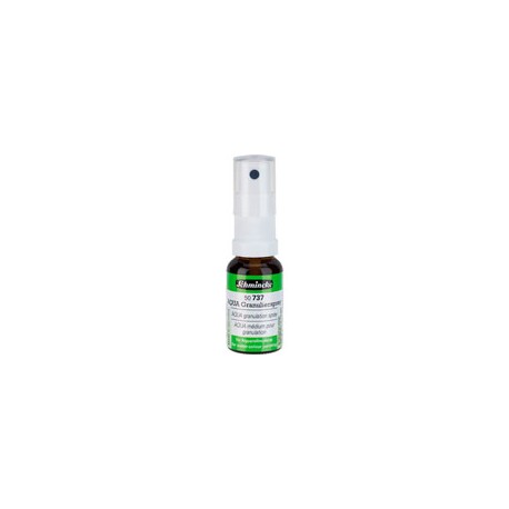 MEDIO SCHMINCKE AQUA DE GRANULACIÓN 15 ML