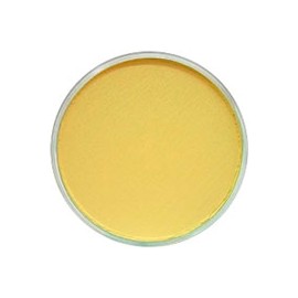 PAN PASTEL DE 9 ML