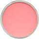 PAN PASTEL DE 9 ML
