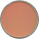 PAN PASTEL DE 9 ML