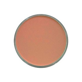 PAN PASTEL DE 9 ML