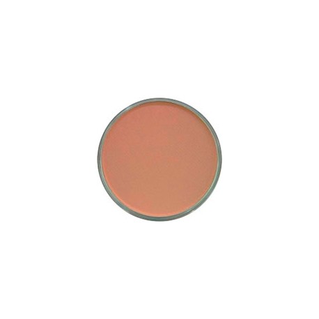 PAN PASTEL DE 9 ML