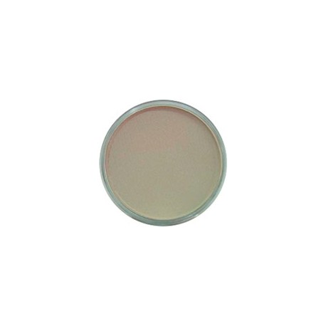 PAN PASTEL DE 9 ML