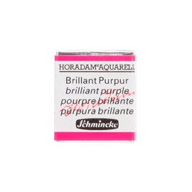 ACUARELA EN PASTILLA SCHMINCKE HORADAM S2