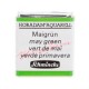 ACUARELA EN PASTILLA SCHMINCKE HORADAM S2