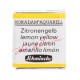 ACUARELA EN PASTILLA SCHMINCKE HORADAM S1