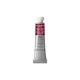 PINTURA ACUARELA WINSOR AND NEWTON ARTIST 5M ...