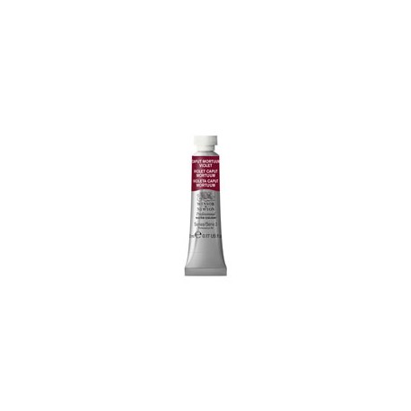 PINTURA ACUARELA WINSOR AND NEWTON ARTIST 5M ...