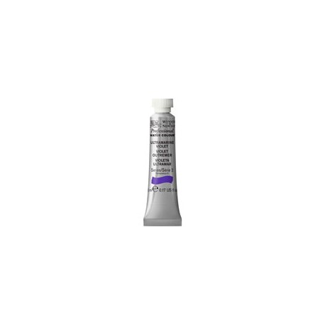 PINTURA ACUARELA WINSOR AND NEWTON ARTIST 5M ...