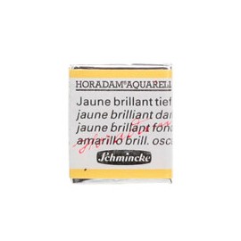 ACUARELA EN PASTILLA SCHMINCKE HORADAM S2