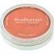 PANPASTEL DE 9 ML