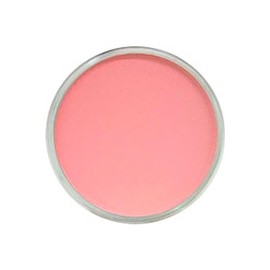 PAN PASTEL DE 9 ML
