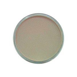 PAN PASTEL DE 9 ML
