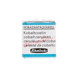 ACUARELA EN PASTILLA SCHMINCKE HORADAM S4