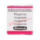 ACUARELA EN PASTILLA SCHMINCKE HORADAM S3