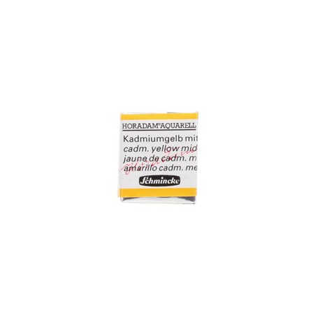 ACUARELA EN PASTILLA SCHMINCKE HORADAM S3