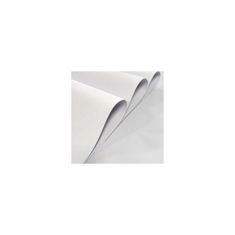 MICRO CORRUGADO RAYTER 50X70CM 160G