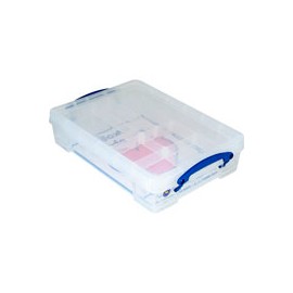 CAJA REALLY 25X39X8CM 1 CHAROLA