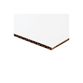 CARTÓN CORRUGADO KRAFT UNA CARA BLANCA 76X10 ...