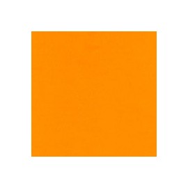 CARTULINA FLUORESCENTE 10 PUNTOS 66x96 CM