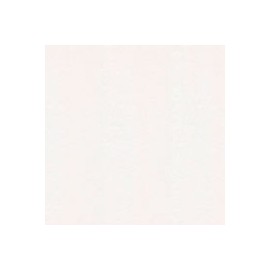 PAPEL CHINA 22G 50X75CM