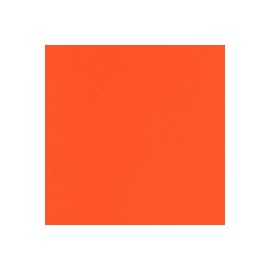 CARTULINA FLUORESCENTE 10 PUNTOS 66x96 CM