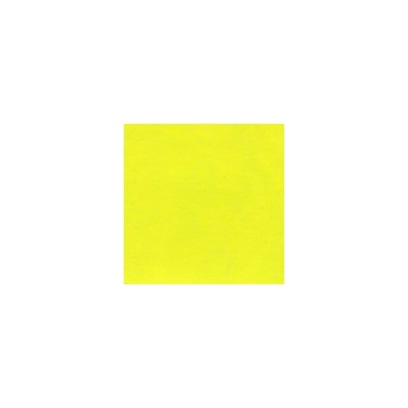 CARTULINA FLUORESCENTE 10 PUNTOS DE 48X66 CM