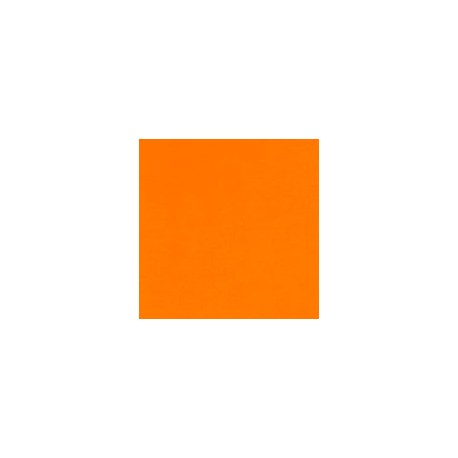 CARTULINA FLUORESCENTE 10 PUNTOS DE 48X66 CM