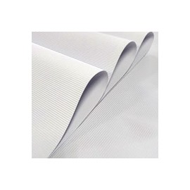 MICRO CORRUGADO RAYTER 50X70CM 160G