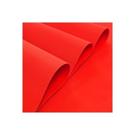 MICRO CORRUGADO RAYTER 50X70CM 160G