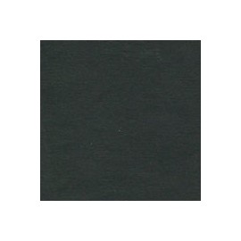 PAPEL AMÉRICA