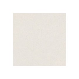 PAPEL LUSTRE