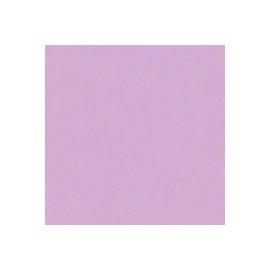 PAPEL LUSTRE