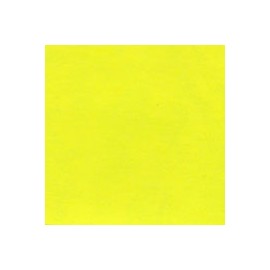 CARTULINA FLUORESCENTE 10 PUNTOS 66x96 CM