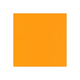 PAPEL AMÉRICA