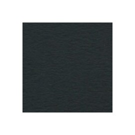 CARTULINA WILD LETTERPRESS DE 300 G 72X102 C ...