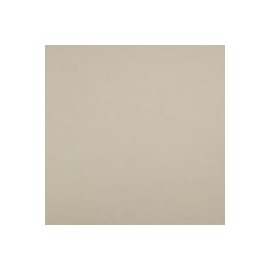 CARTULINA SIRIO COLOR 70X100 CM 700 G