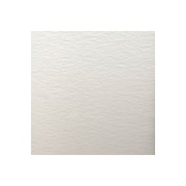 CARTULINA WILD LETTERPRESS DE 450 G 72X102 C ...