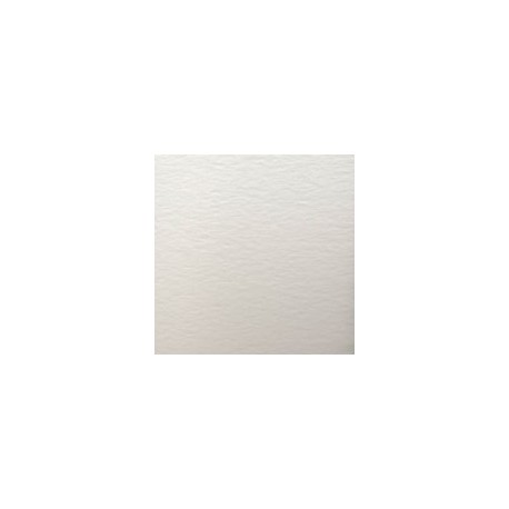 CARTULINA WILD LETTERPRESS DE 300 G 72X102 C ...
