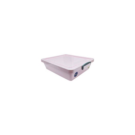 CAJA MULTIUSOS RLY 10.5 38X46X11CM PASTEL