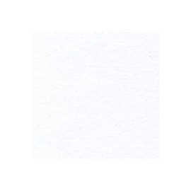 CARTULINA CLASSIC LAID DE 216 G 66X101 CM
