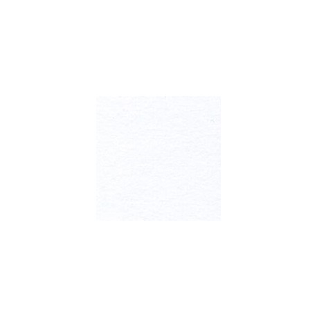 CARTULINA CLASSIC LAID DE 216 G 66X101 CM