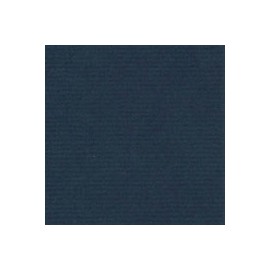 CARTULINA OXFORD