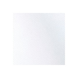 CARTULINA CLASSIC TECHWEAVE DE 216 G 66X101  ...