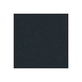 CARTULINA CLASSIC LINEN DE 216 G 66X101 CM
