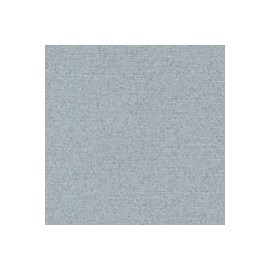 CARTULINA CLASSIC LINEN DE 216 G 66X101 CM