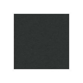 CARTULINA ÁLBUM NEGRA 350 G DE 70X100 CM