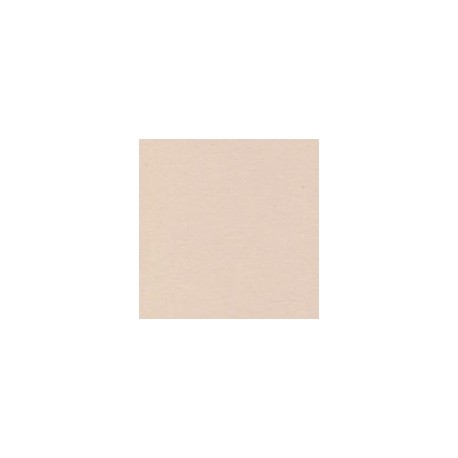 CARTULINA SIRIO COLOR DE 350G 70X100CM